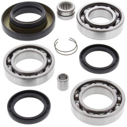 Kit rodamientos y retenes de diferencial trasero ALL BALLS