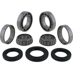 Kit rodamientos y retenes de diferencial delantero ALL BALLS