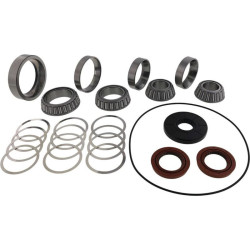 Kit rodamientos y retenes de diferencial trasero ALL BALLS