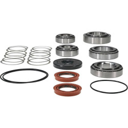 Kit rodamientos y retenes de diferencial trasero ALL BALLS