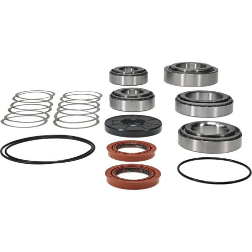 Kit rodamientos y retenes de diferencial trasero ALL BALLS