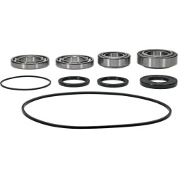 Kit rodamientos y retenes de diferencial delantero ALL BALLS