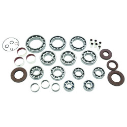 Kit rodamientos y retenes de transeje ALL BALLS
