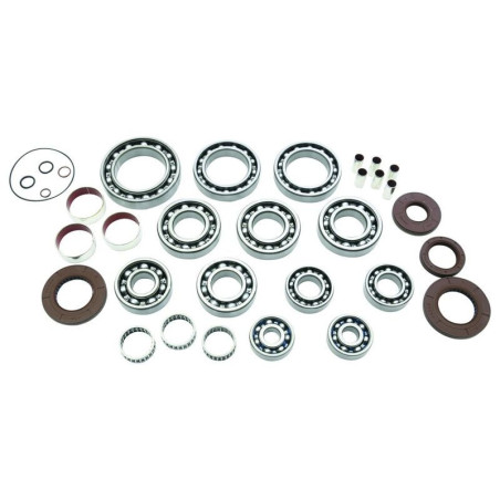 Kit rodamientos y retenes de transeje ALL BALLS