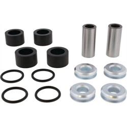 Kit reparación triángulo de suspensión ALL BALLS