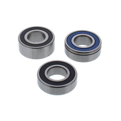 Kit de rodamientos de rueda ALL BALLS