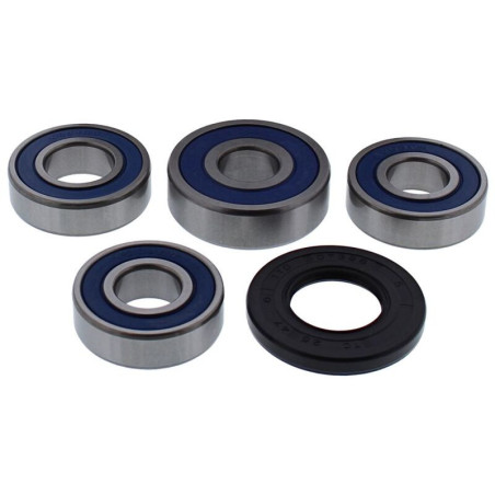 Kit de rodamientos de rueda ALL BALLS