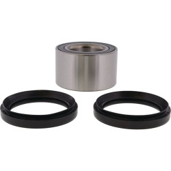 Kit de rodamientos de rueda ALL BALLS