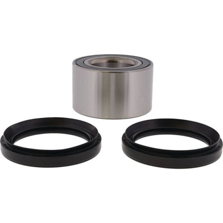 Kit de rodamientos de rueda ALL BALLS