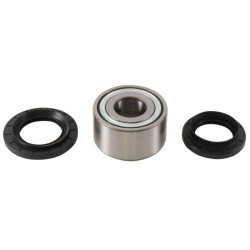 Kit de rodamientos de rueda ALL BALLS