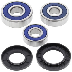 Kit de rodamientos de rueda ALL BALLS