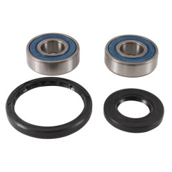 Kit de rodamientos de rueda ALL BALLS