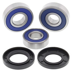 Kit de rodamientos de rueda ALL BALLS