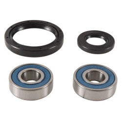 Kit de rodamientos de rueda ALL BALLS