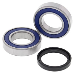 Kit de rodamientos de rueda ALL BALLS
