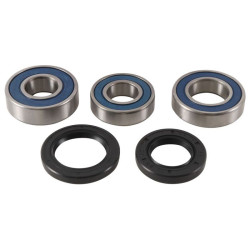 Kit de rodamientos de rueda ALL BALLS