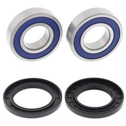 Kit de rodamientos de rueda ALL BALLS