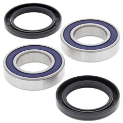 Kit de rodamientos de rueda ALL BALLS