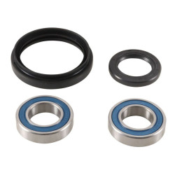 Kit de rodamientos de rueda ALL BALLS