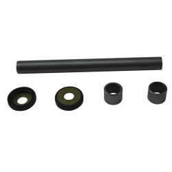 Kit rodamientos de basculante ALL BALLS