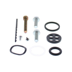 Kit reparación grifo de gasolina ALL BALLS tipo remache