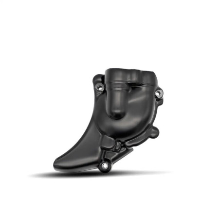 Cubrecárter derecho R&G RACING
