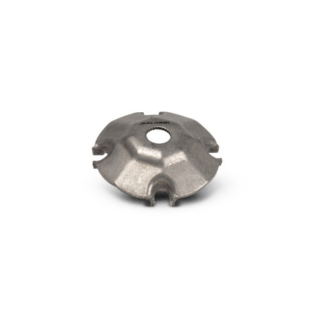 MALOSSI Tapa de rampas para variador MULTIVAR 2000