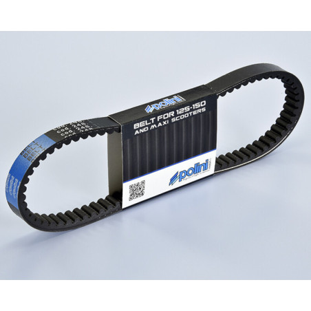 POLINI Variator Belt