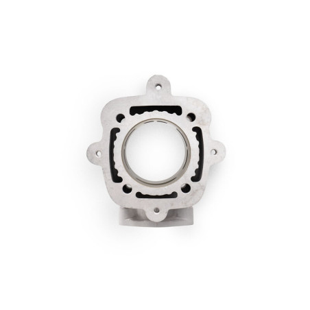 Kit de cilindro MALOSSI H2O Ø65 mm 172,5CC