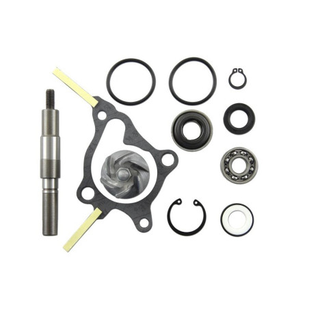 Set repara eje bomba de agua V PARTS