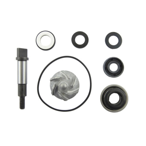 Set repara eje bomba de agua V PARTS