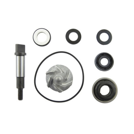 Set repara eje bomba de agua V PARTS