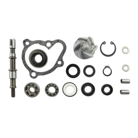 Set repara eje bomba de agua V PARTS