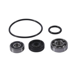 Kit reparación bomba de agua Hot Rods HR00073