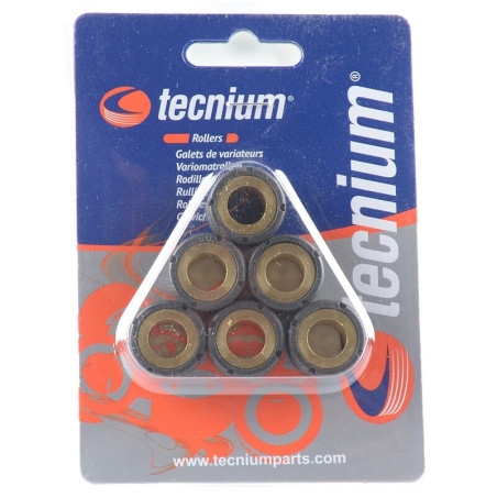 Rodillos de variador TECNIUM 29x22mm 30gr - 6 pcs