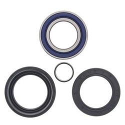 Kit rodamientos de rueda All Balls 25-1005 2