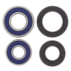 Kit rodamientos de rueda All Balls 25-1035