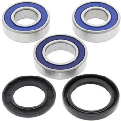 Kit rodamientos de rueda All Balls 25-1111
