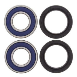 Kit rodamientos de rueda All Balls 25-1389