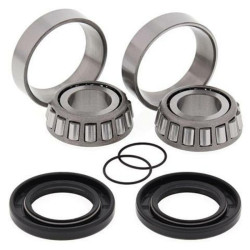 Kit rodamientos de basculante All Balls 28-1058