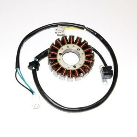 Estátor ELECTROSPORT - LTZ400 03-09