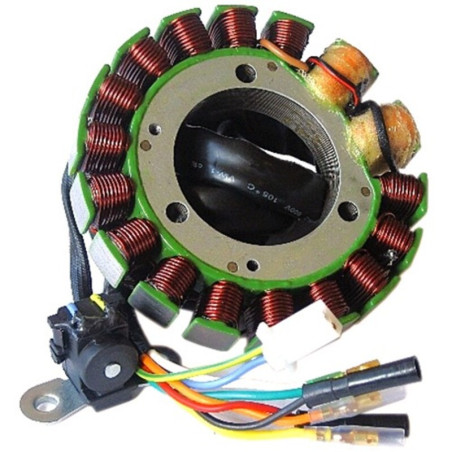 Estátor ELECTROSPORT - XR650R 00-07