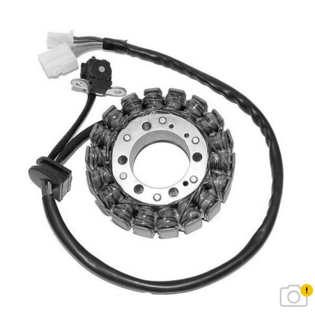 Estátor ELECTROSPORT - Triumph