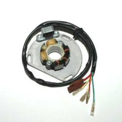 Estátor con bobina de encendido ELECTROSPORT - KTM