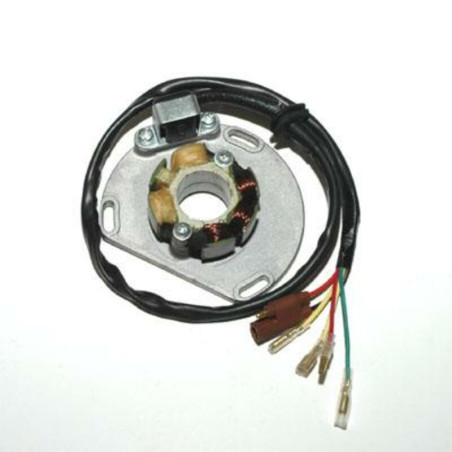Estátor con bobina de encendido ELECTROSPORT - KTM