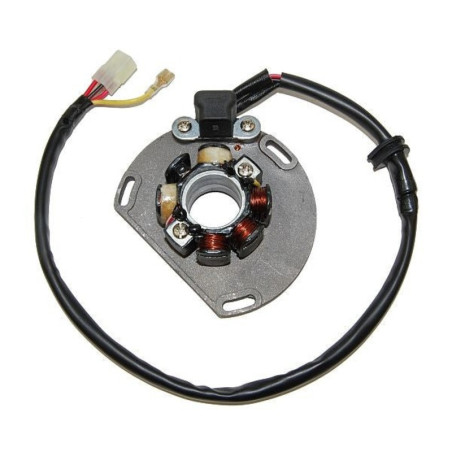 Estátor con bobina de encendido ELECTROSPORT - KTM