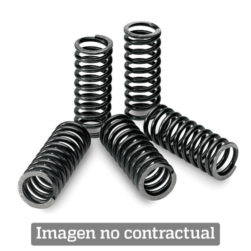 Kit de muelles de embrague TECNIUM