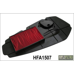 Filtro de aire HIFLOFILTRO - HFA1507 2