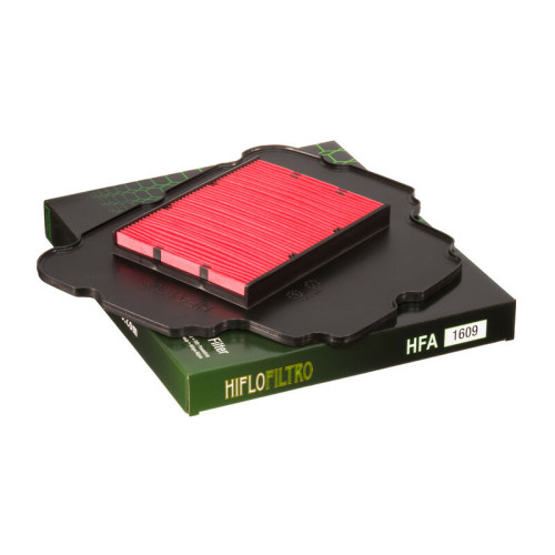 Filtro de aire HIFLOFILTRO - HFA1609