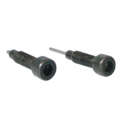 Set dos tornillos de recambio para herramienta cadenas distribución BUZZETTI